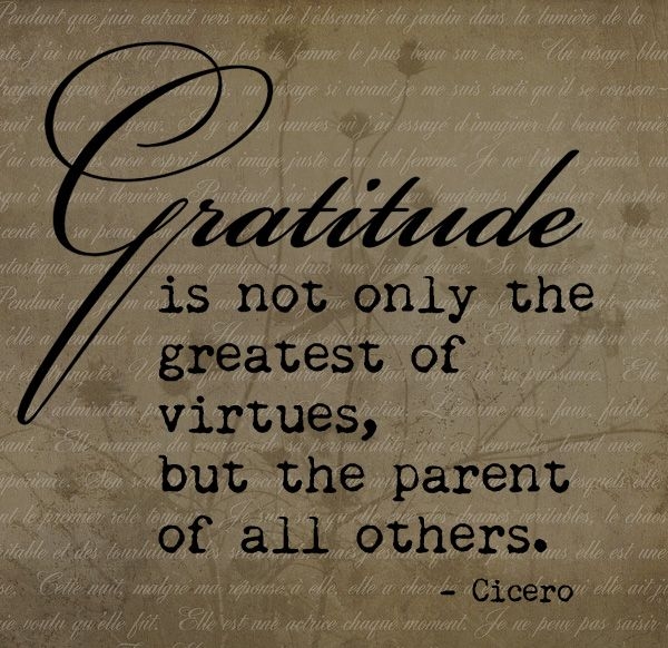 Gratitude